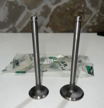 R190N - клапан впускной+выпускной голый