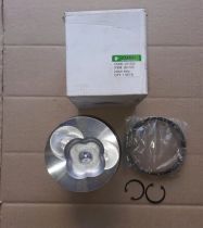 ZUBR - Z-250 - поршневой к-т (JD1105)