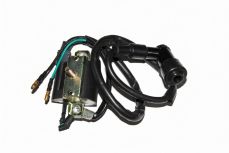 Катушка зажигания  DELTA JH70 (139FMB)