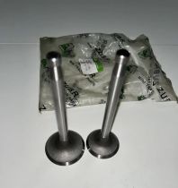 ZUBR - Z-250 - клапан впускной+выпускной голый  (JD1105)