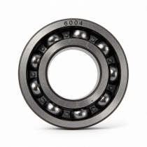 HT-105/6HP - подшипник 6004