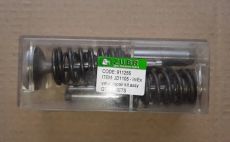 ZUBR - Z-250 - клапана в сборе  (JD1105)