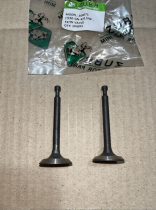 GN-4/GN-2/Q70 - клапан впускной+выпускной голый