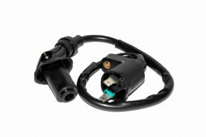 Катушка зажигания  GY-6 50cc (139FMB) (черная)