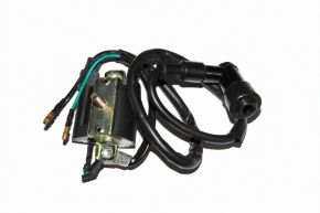 Катушка зажигания  DELTA JH70 (139FMB)