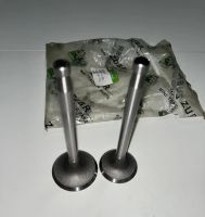 ZUBR - Z-250 - клапан впускной+выпускной голый  (JD1105)