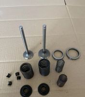 R195NM - клапан впуск+выпуск в сборе