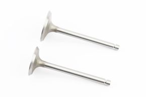 Z-16 - клапан впускной+выпускной в сборе