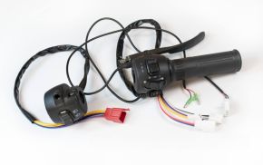 Cargo12 Ручка газа + переключатель Л+П к-т