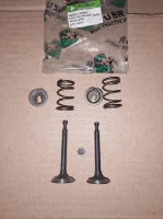 GN-4/6,5HP - клапан впускной+выпускной в сборе