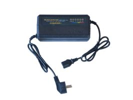 Зарядное устройство тип №6 для электромопеда 60V20A