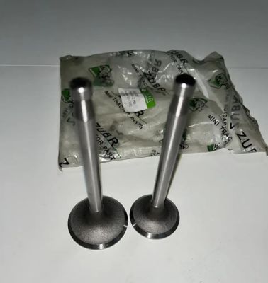 ZUBR - Z-250 - клапан впускной+выпускной голый  (JD1105)