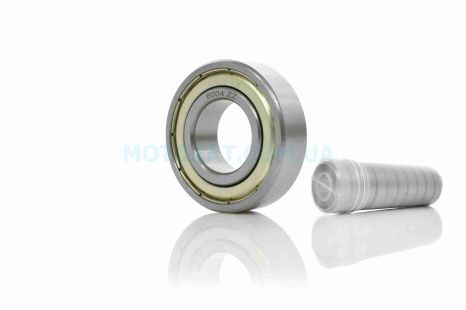 R180 - подшипник 6004Z