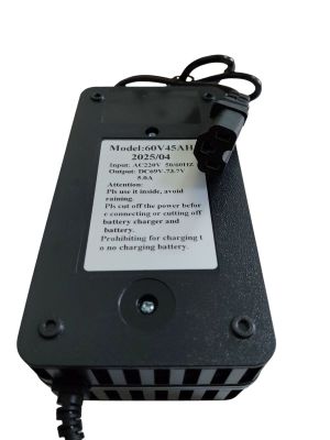 Cargo13 Зарядное устройство 60V 45Ah (6V 1A)