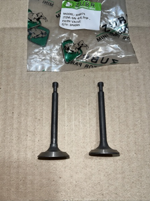 GN-4/GN-2/Q70 - клапан впускной+выпускной голый